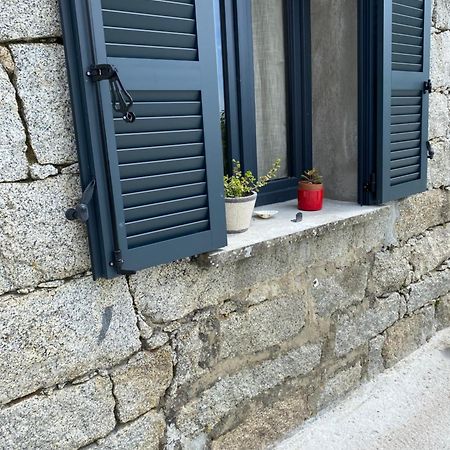 Tres Beau Studio Avec Terrasse 종자 외부 사진