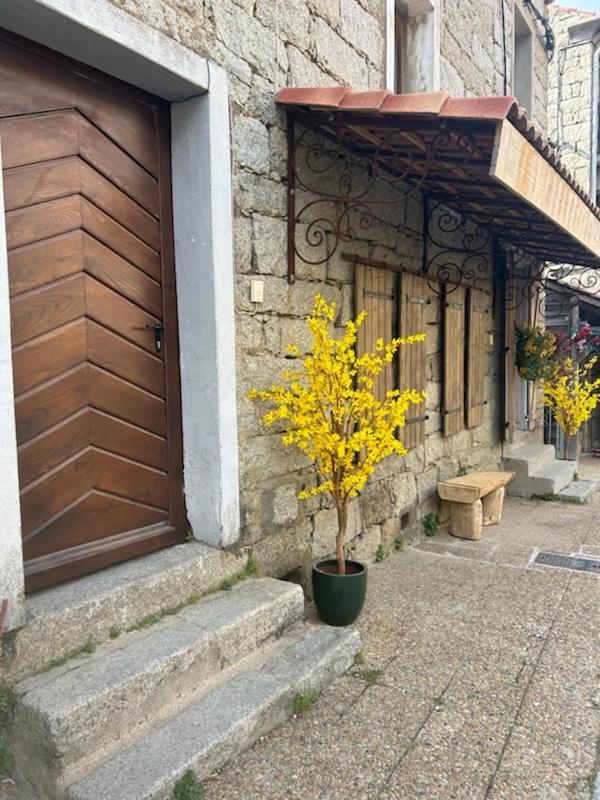 Tres Beau Studio Avec Terrasse 종자 외부 사진